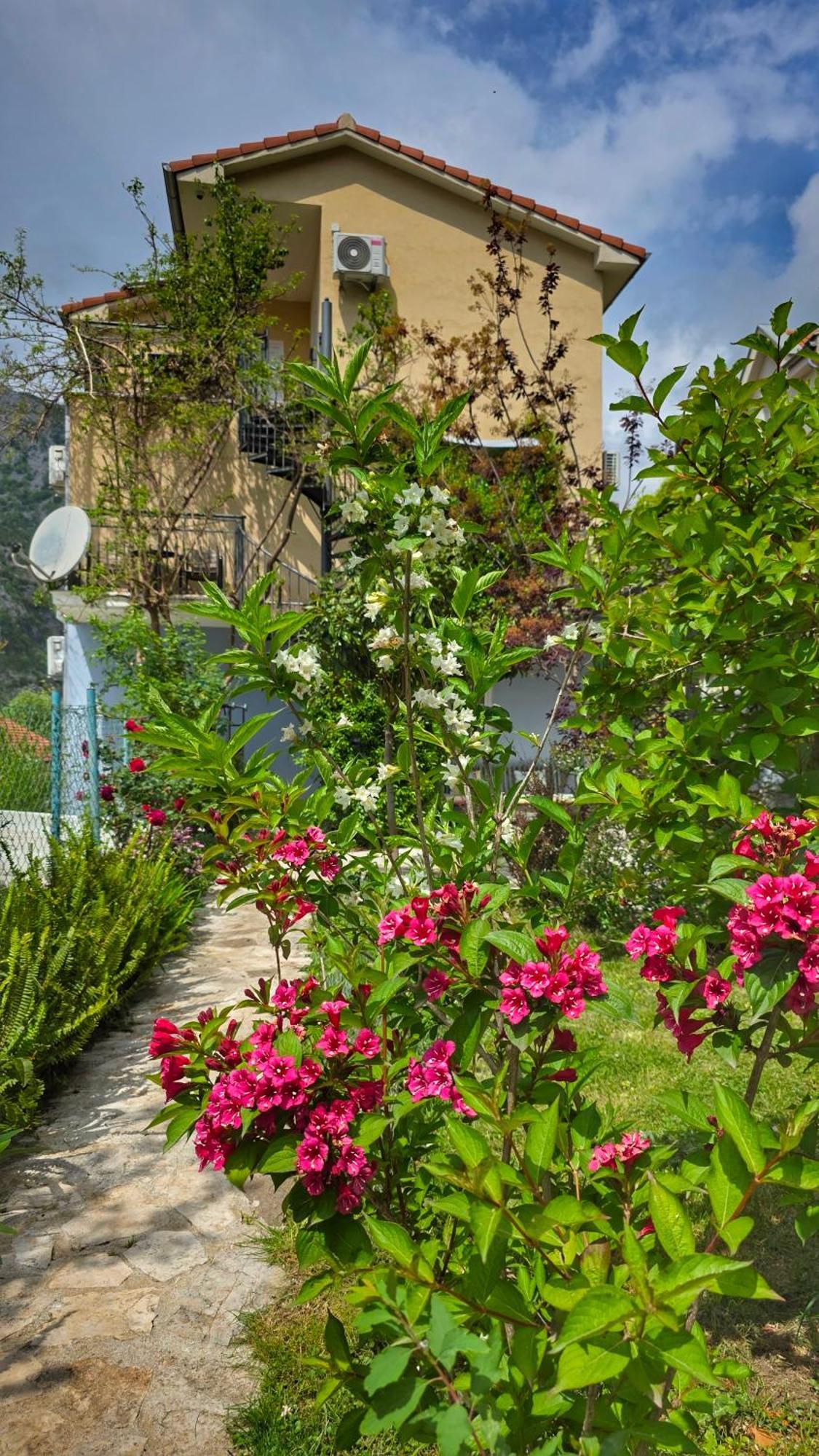 Apartment Mint&Rose Risan Buitenkant foto